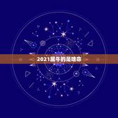 2021属牛的是啥命，2021年什么命