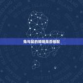 兔与鼠的婚姻是否相配，属兔和属鼠的合得来吗