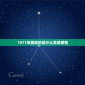 1977年属蛇的是什么命男感情，1977年。属蛇的，是什么命