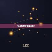 怀孕清宫表2022 图，2022 年男女清宫表算法