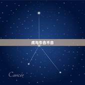 虎与牛合不合，属牛的和属虎的合吗？有没有说法。