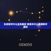 生肖配对什么生肖最好 家庭中什么属相配对最好