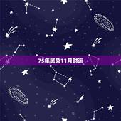 75年属兔11月财运，2022 属兔的重大贵人
