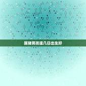 属猪男孩逢几日出生好，肖猪人一生运程