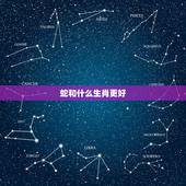 蛇和什么生肖更好，龙和什么生肖最配