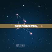 鸡和羊的属相婚配好吗，十二生肖中羊和鸡和婚吗