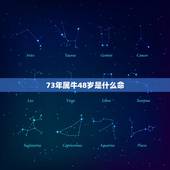 73年属牛48岁是什么命，73年的属牛今年的财运有没有外财运如何