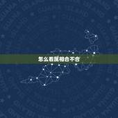 怎么看属相合不合，属相准么看两个人合不合？你们信么