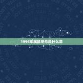 1996年属鼠冬月是什么命，1996生肖鼠一生的运势