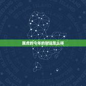 属虎的今年的财运怎么样，74年属虎46岁以后的一生命运？