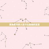 属兔属羊的人生什么属相的宝宝，属鼠跟属羊生什么属相的孩子好？