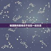 猪跟猴的属相合不合在一起合适，猴和什么属相不合