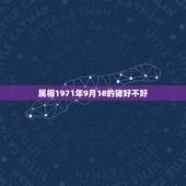 属相1971年9月18的猪好不好，1971年属猪的人与什么属相相克