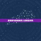 属相辰与属相辰的人结婚自刑吗，两个属龙的人结婚以后老吵架互看对方不顺眼