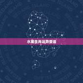 水墨生肖运势查询，今日生肖运势