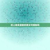 时上地支相害的男女可婚配吗，请教一个关于男女婚配八字属相等等合不合的问