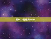 属牛12月运势2022，属牛2022年的运势及运程