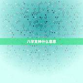 八字支神什么意思，八字支神是什么意思