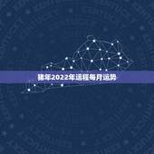 猪年2022年运程每月运势，2022属猪人的全年运势如何