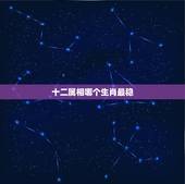 十二属相哪个生肖最稳，十二生肖哪种生肖命最好？