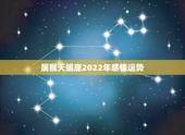 属猴天蝎座2022年感情运势，属猴的天蝎座今年桃花运