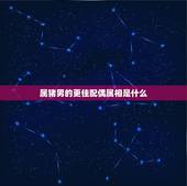 属猪男的更佳配偶属相是什么，属鸡的更佳配偶属相