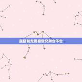 属鼠和龙属相做兄弟合不合，属鼠的能不能和属龙的在一起合伙做生意