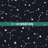 1987年农历十月兔，99年属兔农历10月出生的命运