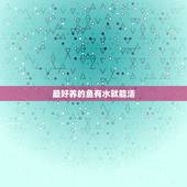 最好养的鱼有水就能活，最好养的鱼是什么？