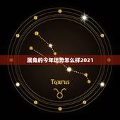 属兔的今年运势怎么样2021，属蛇的人2021年运势及每月运程怎么样化