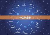什么叫合婚，合婚是什么意思
