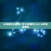 85年属牛36岁有一灾 85年属牛人32-36岁负债累累