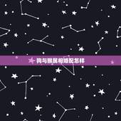 狗与猴属相婚配怎样，十二生肖属相狗和猴婚配会有好结果吗？