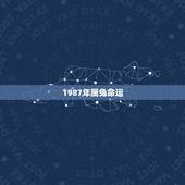 1987年属兔命运，1987年属兔的是什么命