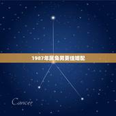 1987年属兔男更佳婚配，1987的兔子更佳配偶