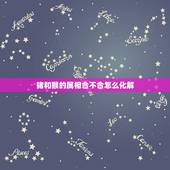 猪和猴的属相合不合怎么化解，属猴的和属猪的相克怎么破解