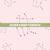 自己家养乌龟是好不好或是坏处，养乌龟会对人造成什么危害呢？