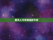 属牛人今天财运好不好，属牛人今天元旦财运好不好