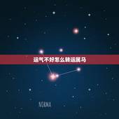 运气不好怎么转运属马，运气不好怎么转运