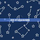 农历1月19日出生的属相，农历1月19日生日属什么星座