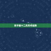 双子座十二月月中运势，双子座2月运势（详细）？