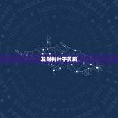 发财树叶子黄斑，发财树叶子有黄斑