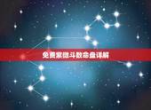 免费紫微斗数命盘详解，免费紫薇命盘 求详解