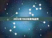 2022年1963年属兔运势，1963年2022年多大