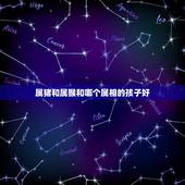 属猪和属猴和哪个属相的孩子好，属猴与属猪生什么属相的孩子好？