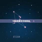 1966年属马今年命运，66属马一生大劫年