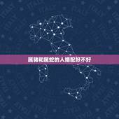 属猪和属蛇的人婚配好不好，属蛇的和什么属相最配
