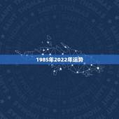 1985年2022年运势，1950年属虎2022年运势及运程？