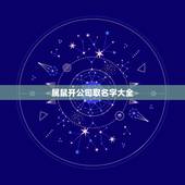 属鼠开公司取名字大全，属鼠的人公司名字大全