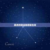 属虎的转运珠搭配生肖，2022年虎本命年禁忌